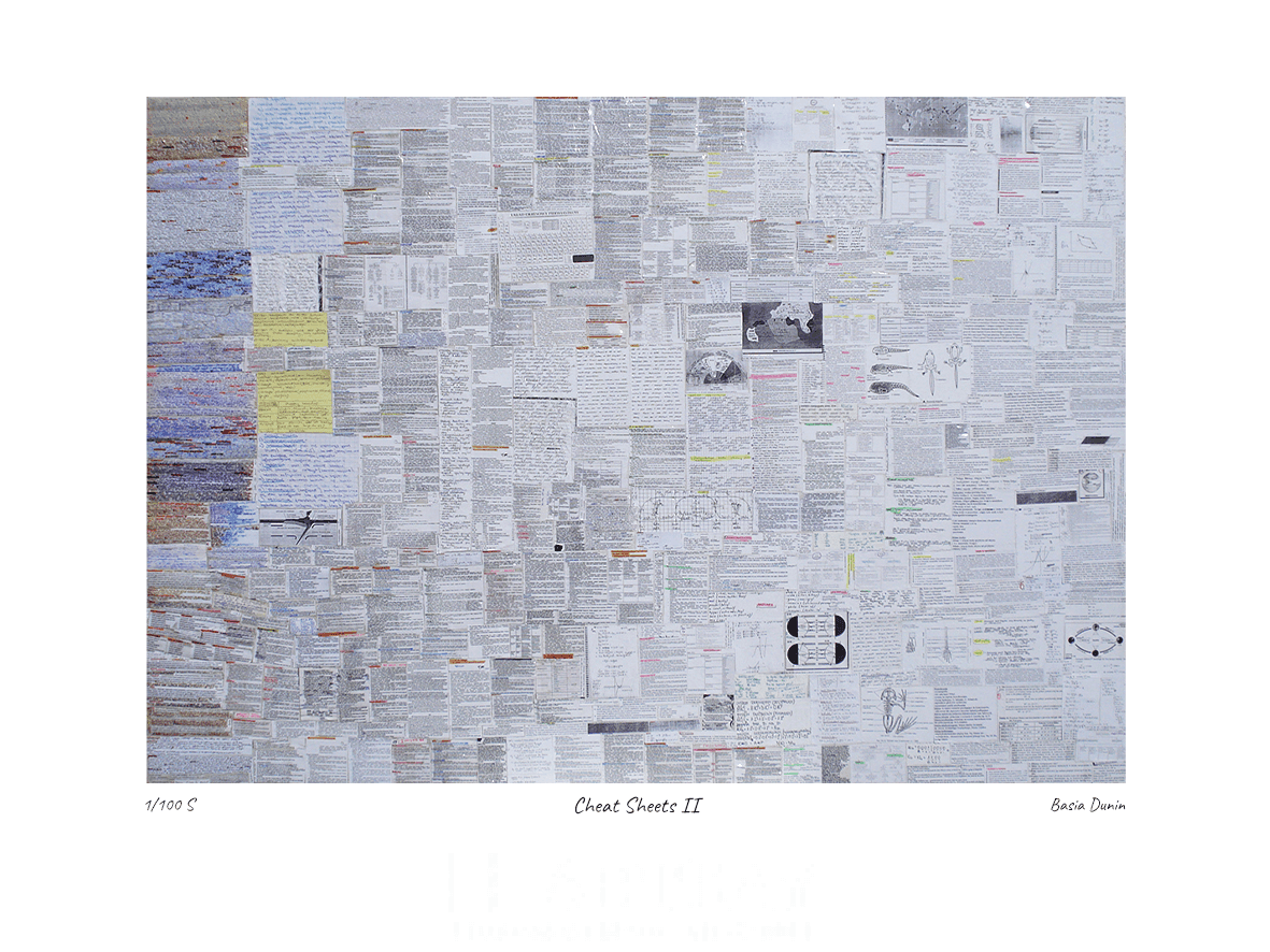 Cheat sheets II - obrazek 2