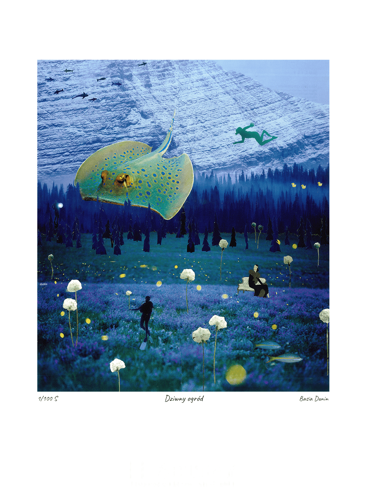 Dziwny ogród - obrazek 2