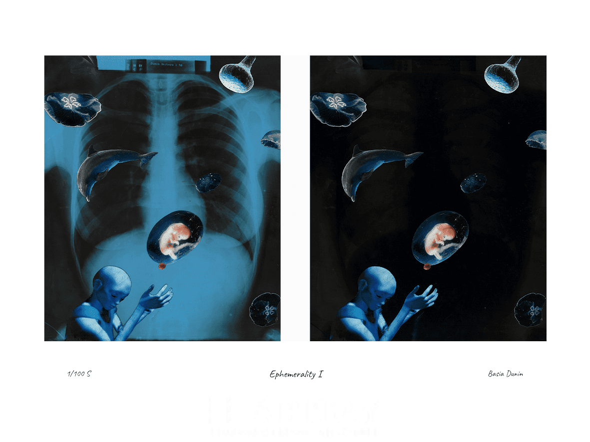 Ephemerality I - obrazek 2