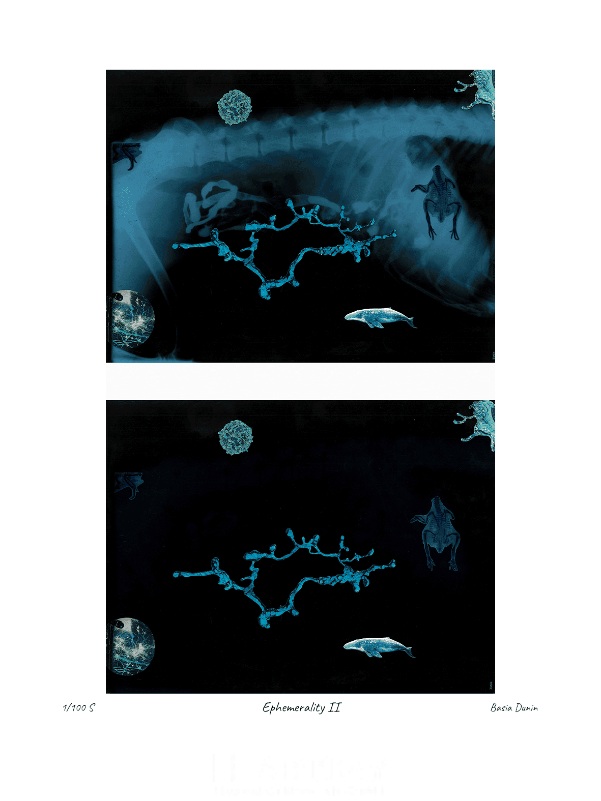 Ephemerality II - obrazek 2