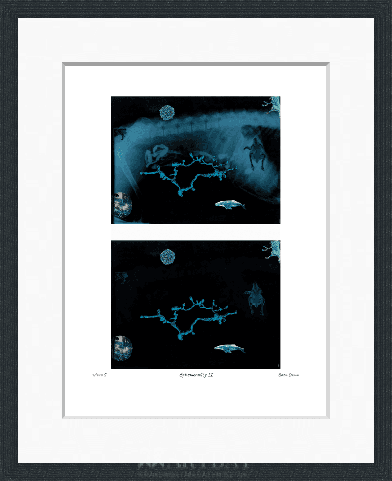 Ephemerality II - obrazek 3