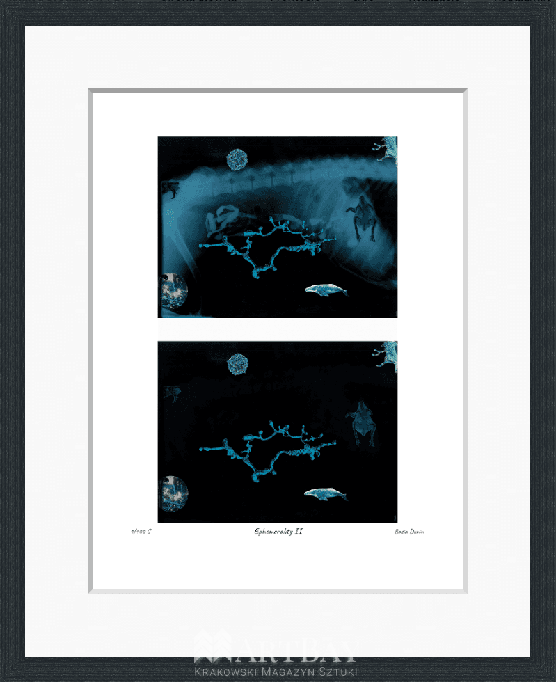 Ephemerality II - obrazek 3