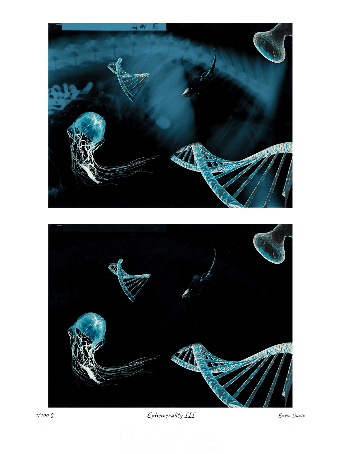Ephemerality III - obrazek 2