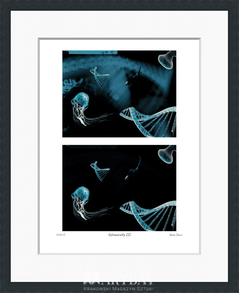 Ephemerality III - obrazek 3