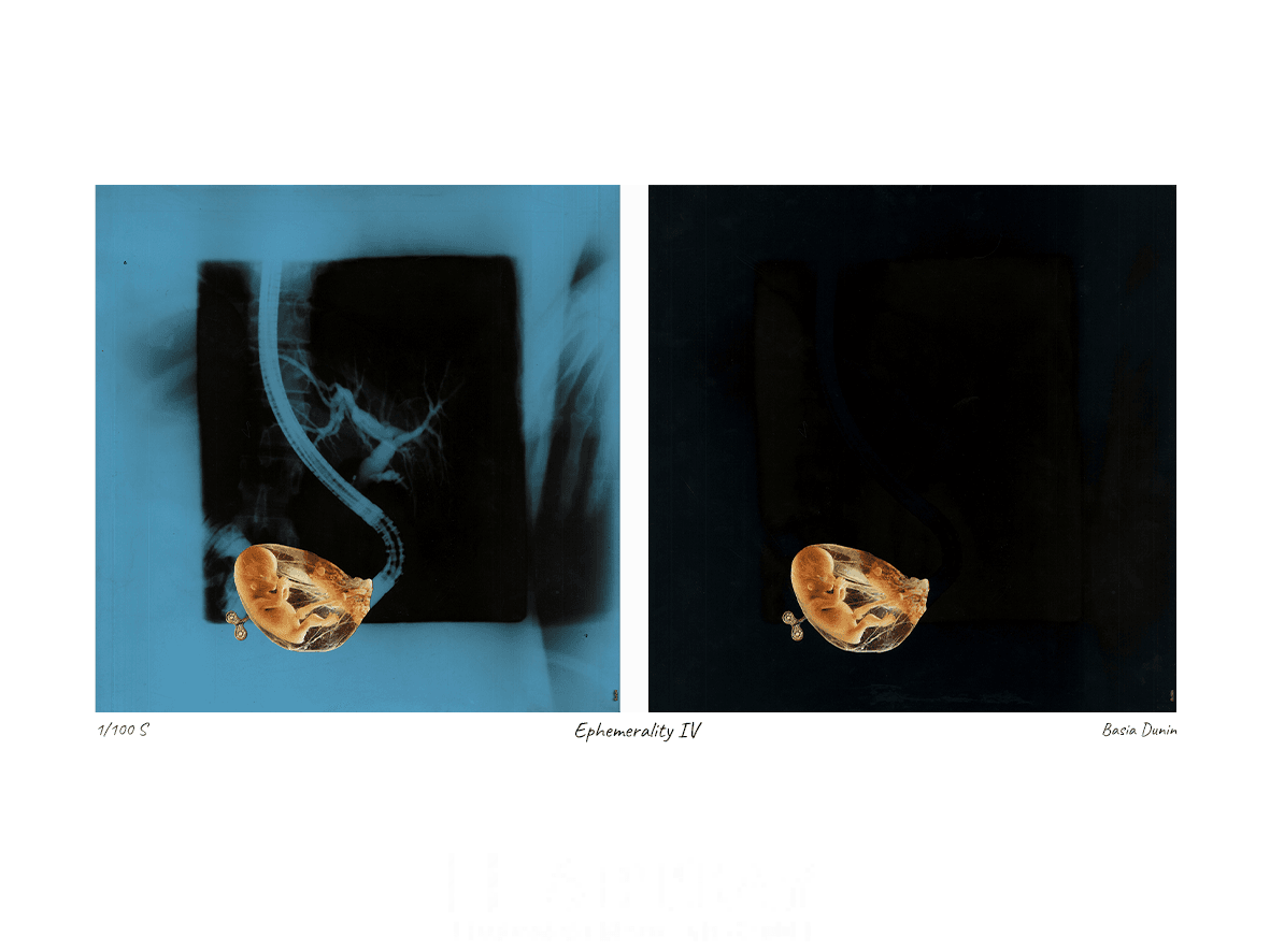 Ephemerality IV - obrazek 2