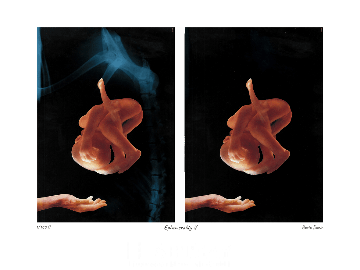 Ephemerality V - obrazek 2