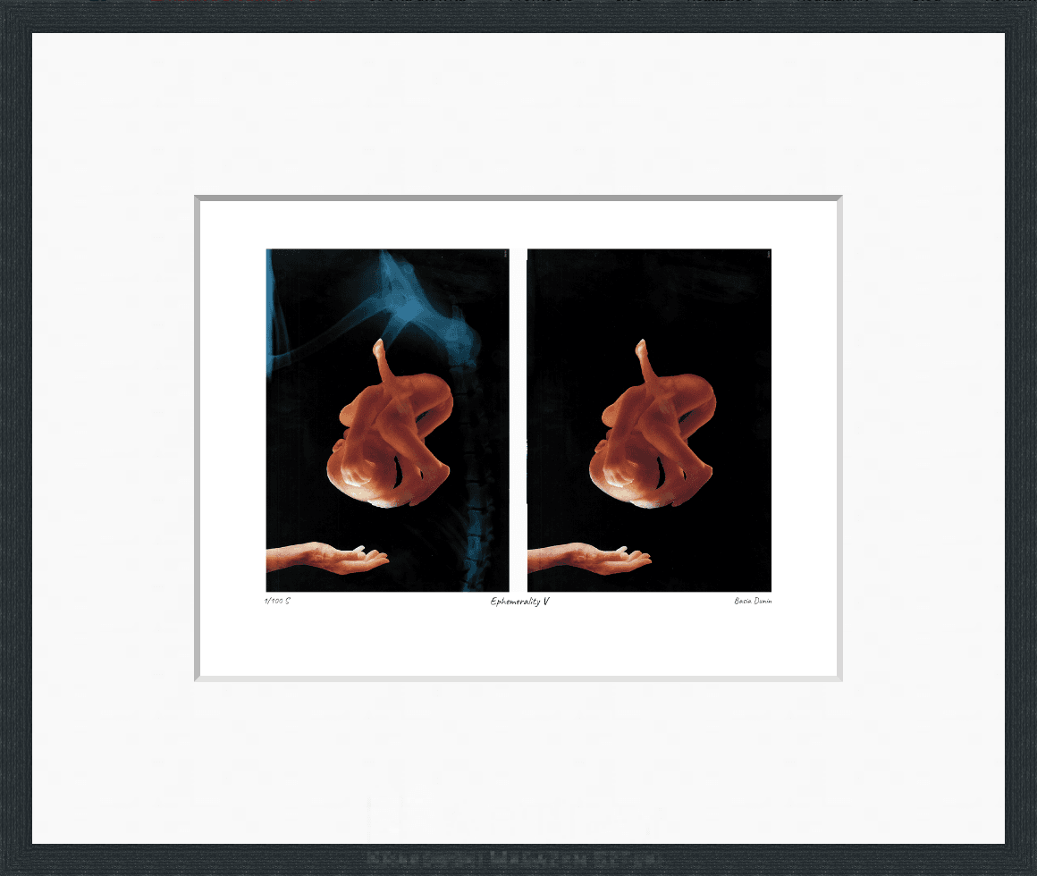Ephemerality V - obrazek 3