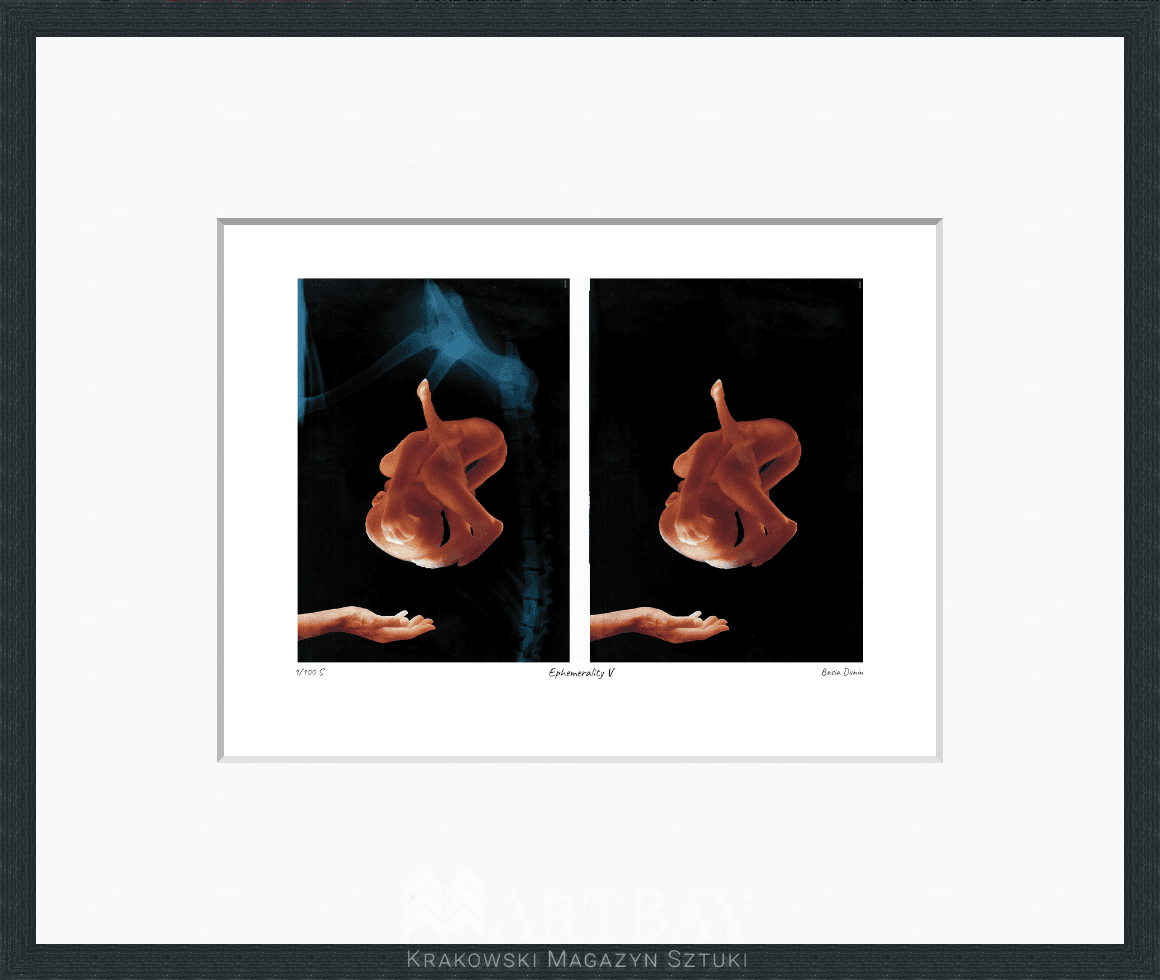 Ephemerality V - obrazek 3