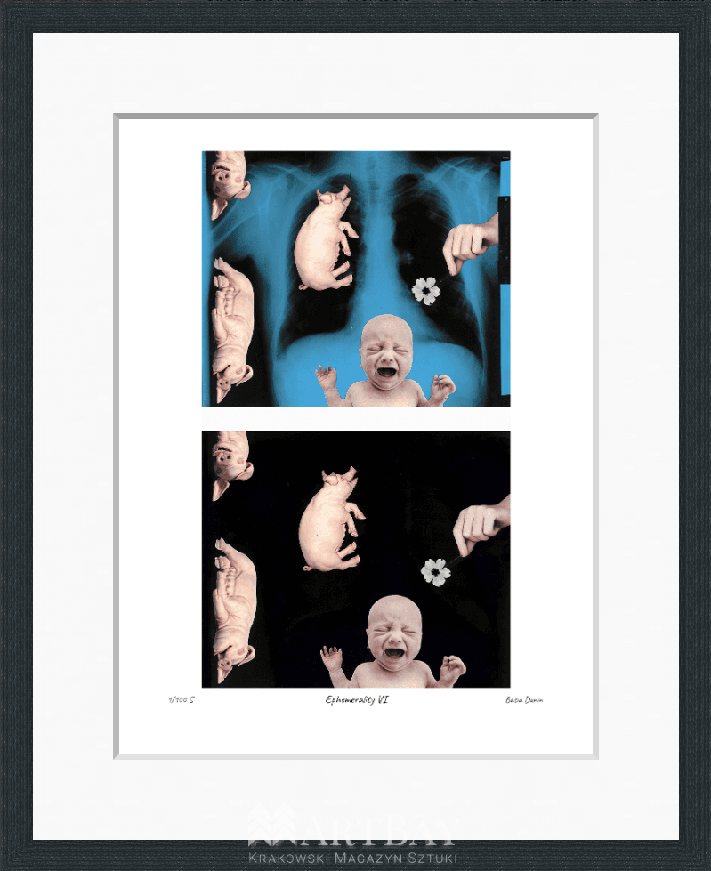 Ephemerality VI - obrazek 3