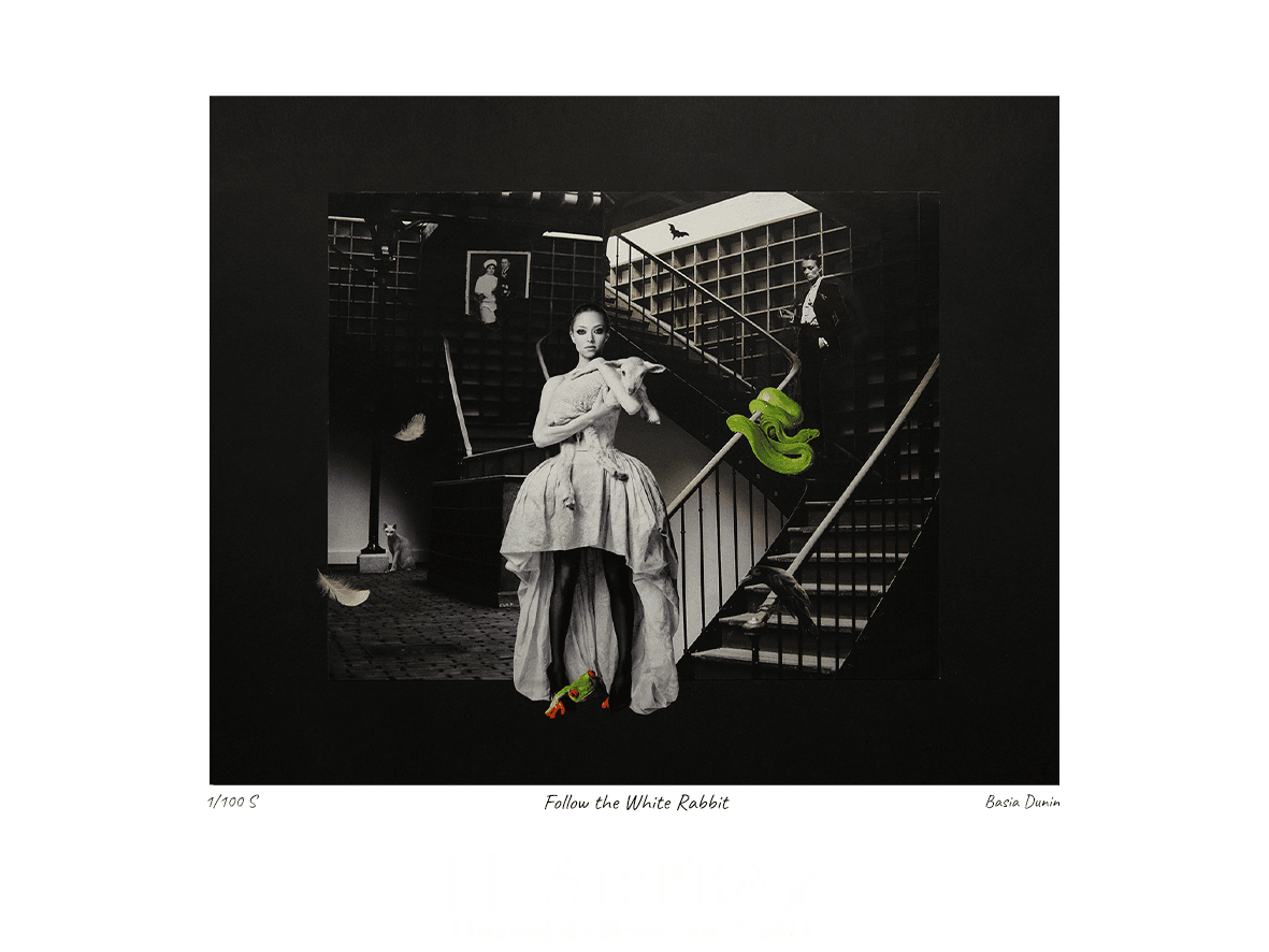 Follow the white rabbit - obrazek 2