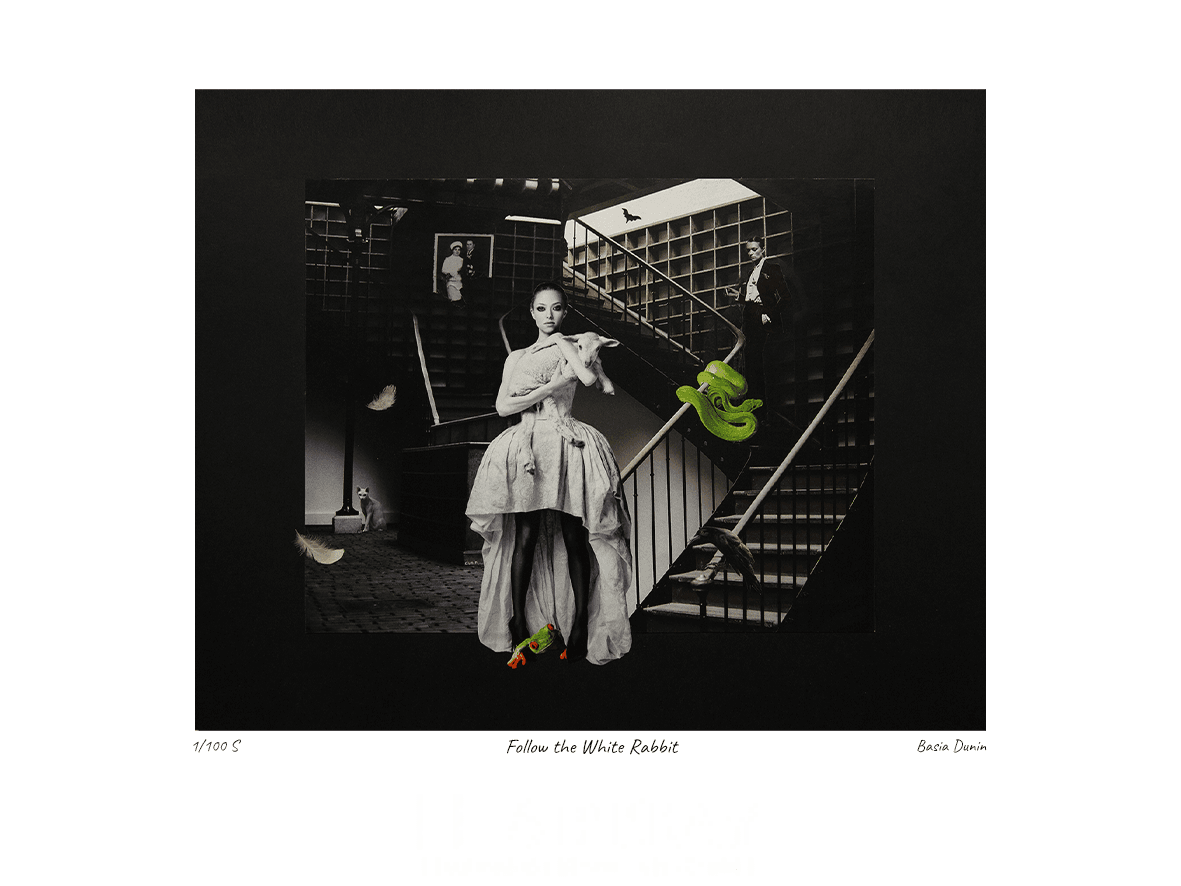 Follow the white rabbit - obrazek 2