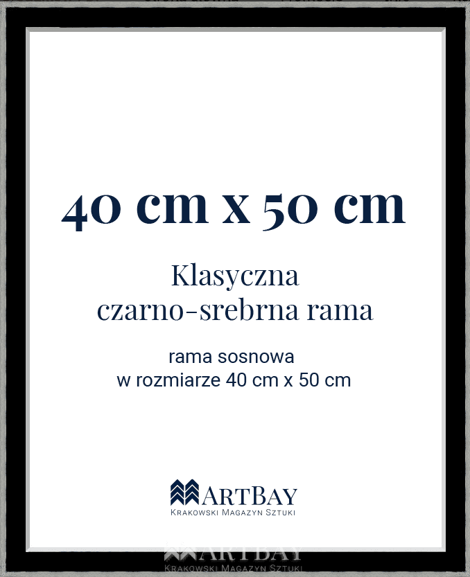 Klasyczna czarno-srebrna rama - obrazek 5
