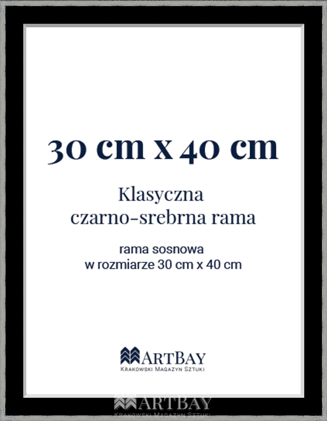 Klasyczna czarno-srebrna rama - obrazek 4