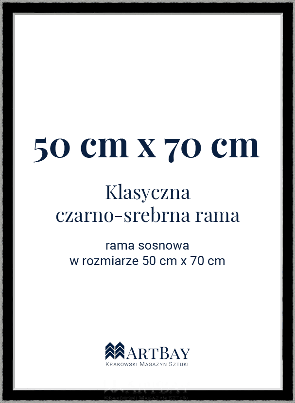 Klasyczna czarno-srebrna rama - obrazek 6