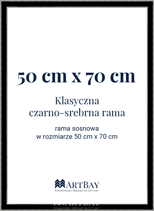 Klasyczna czarno-srebrna rama - obrazek 6