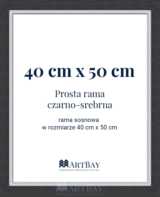 Prosta rama czarno-srebrna - obrazek 5