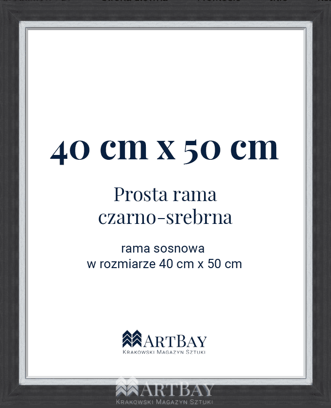 Prosta rama czarno-srebrna - obrazek 5