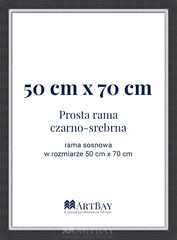 Prosta rama czarno-srebrna - obrazek 6