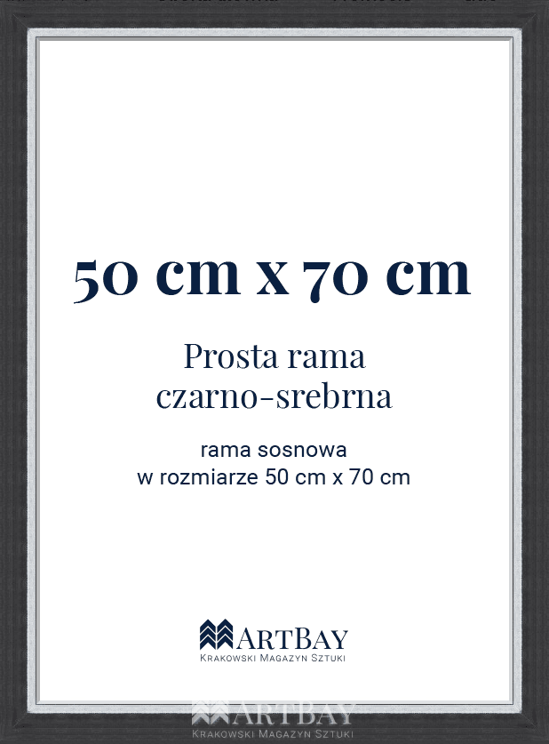Prosta rama czarno-srebrna - obrazek 6