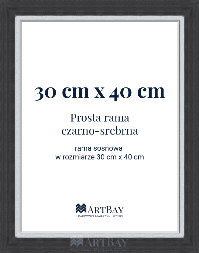 Prosta rama czarno-srebrna - obrazek 4