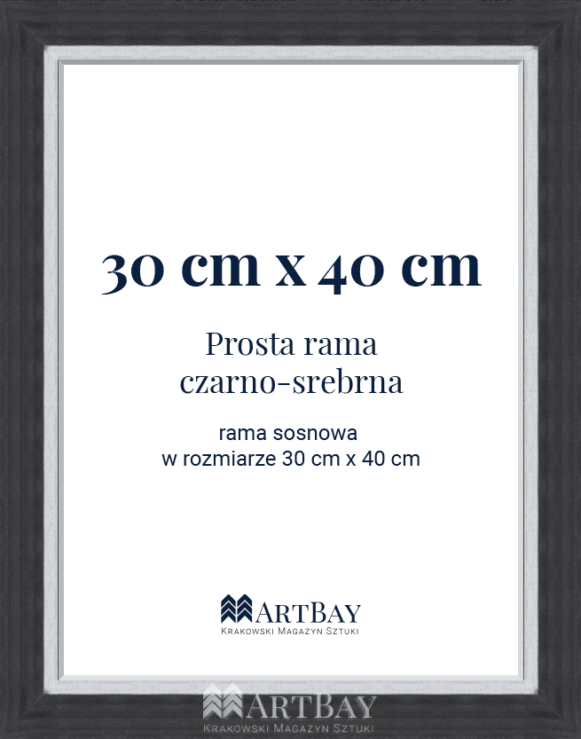 Prosta rama czarno-srebrna - obrazek 4