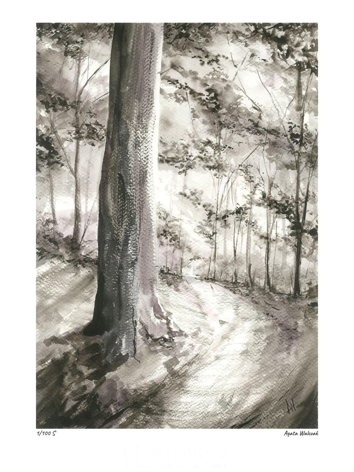 Las bukowy - obrazek 2