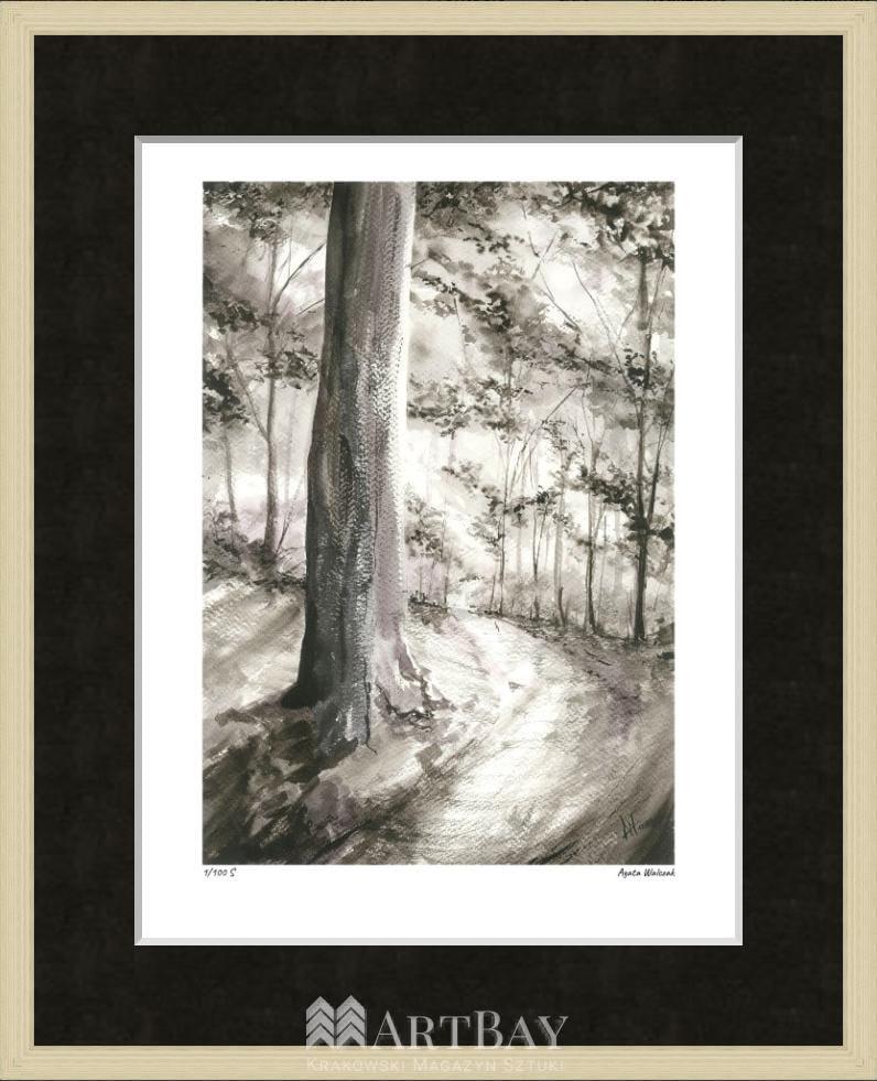 Las bukowy - obrazek 3