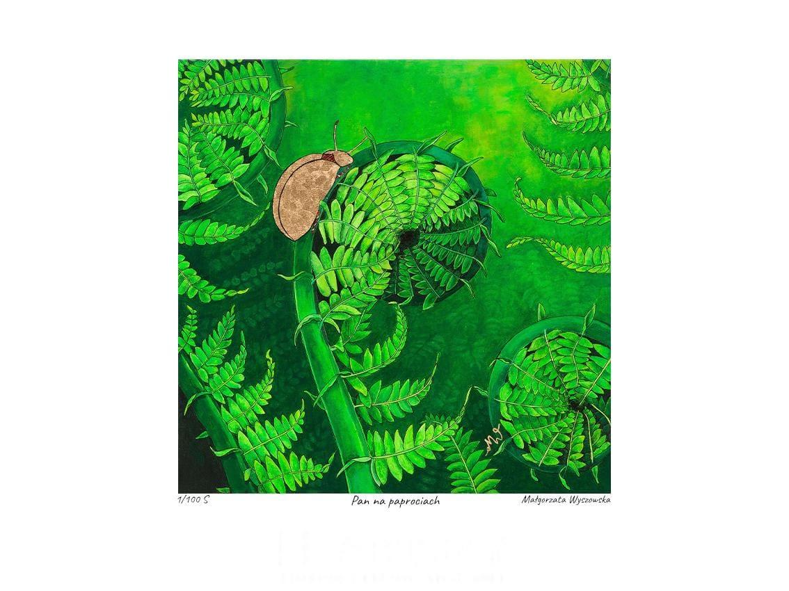 Pan na paprociach - obrazek 2