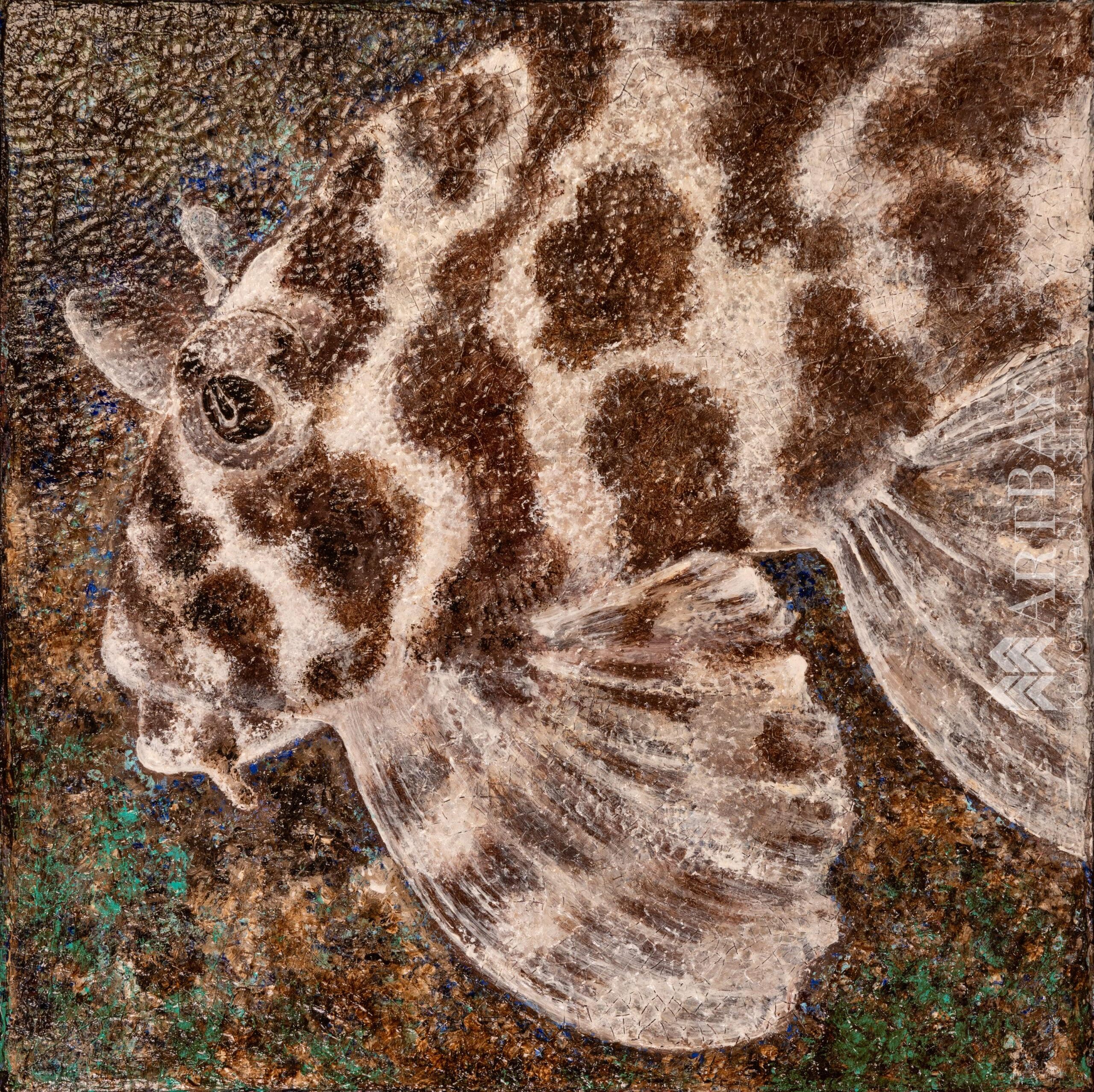 Sea Catfish - obrazek 2