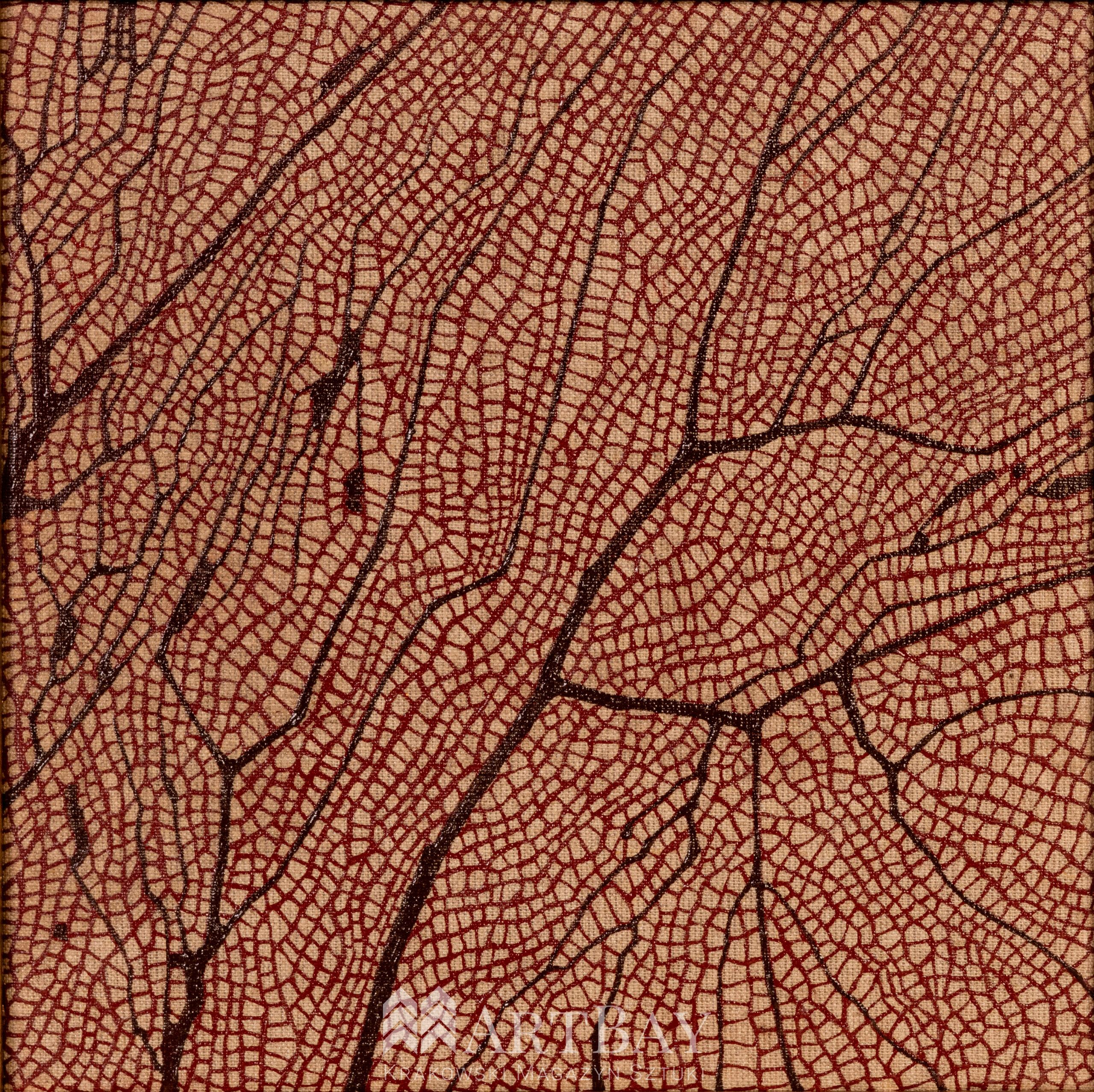 Fun coral elements - obrazek 2