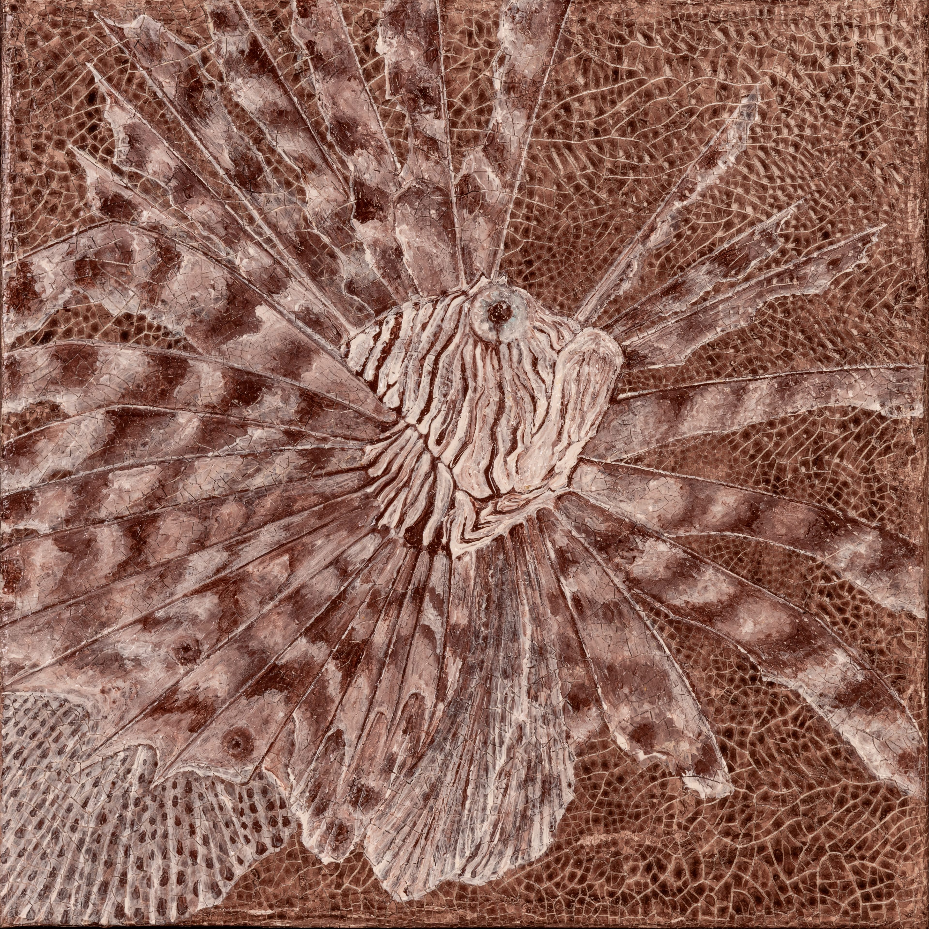 Lion Fish - obrazek 2