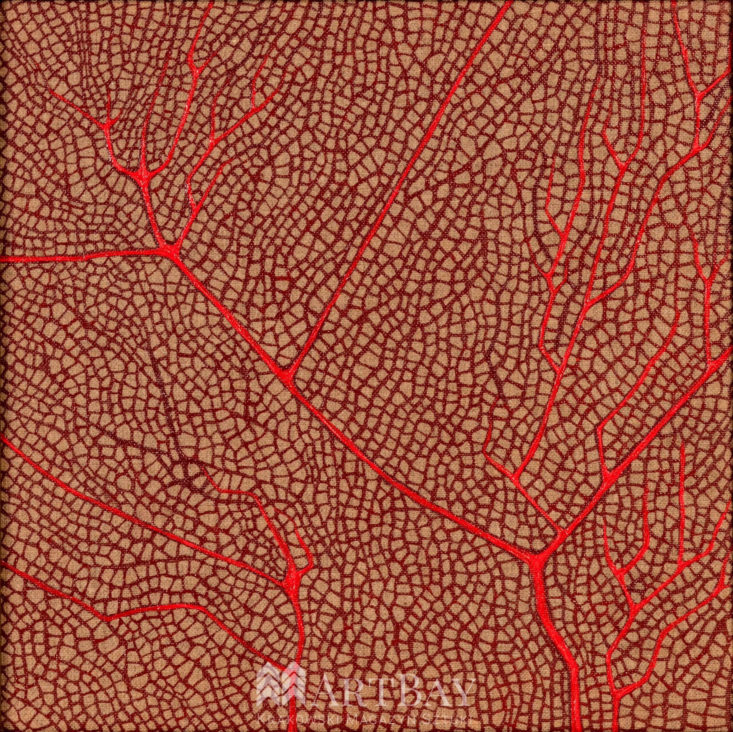 Fun coral elements - obrazek 2