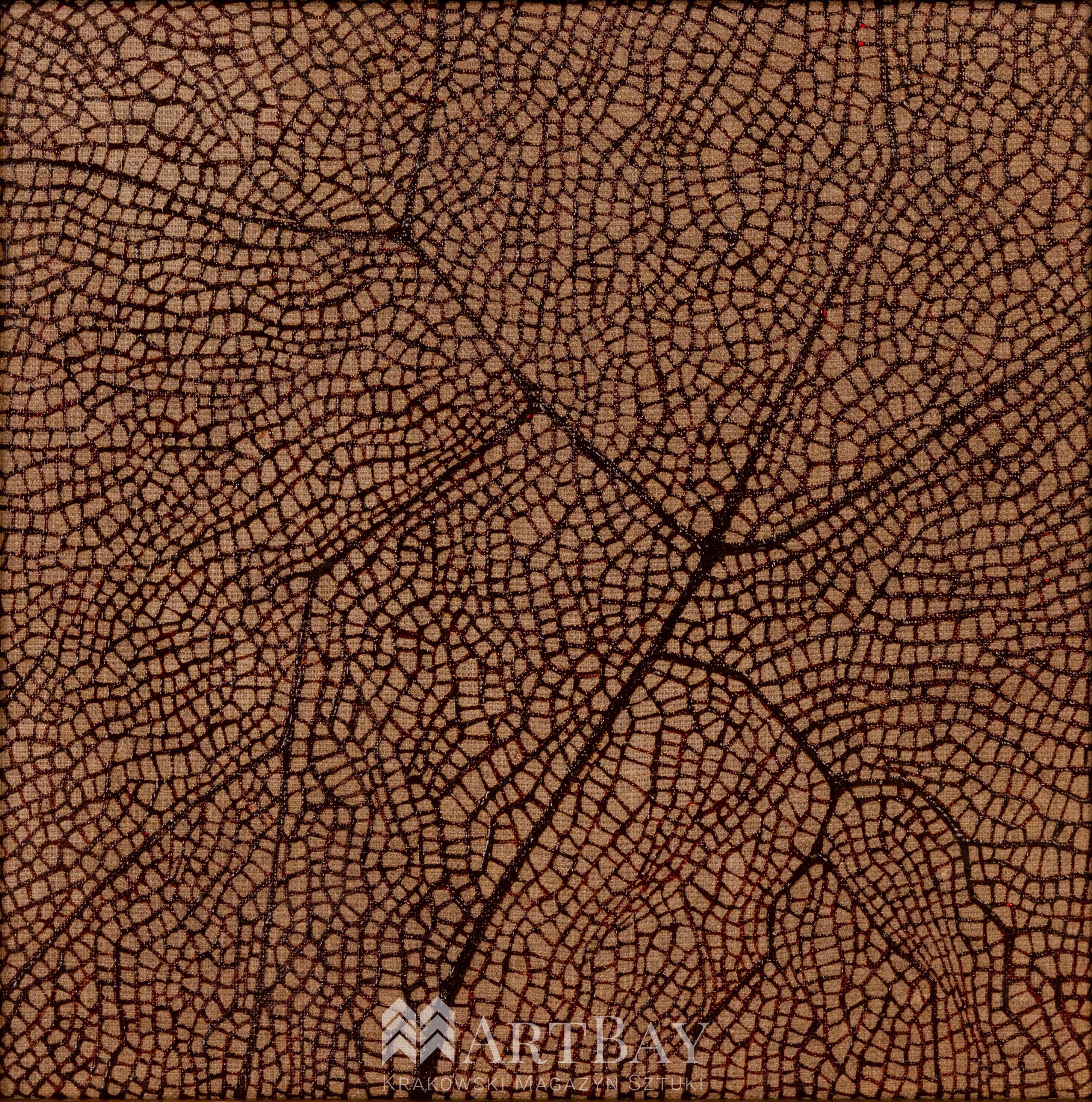 Fun coral elements - obrazek 2