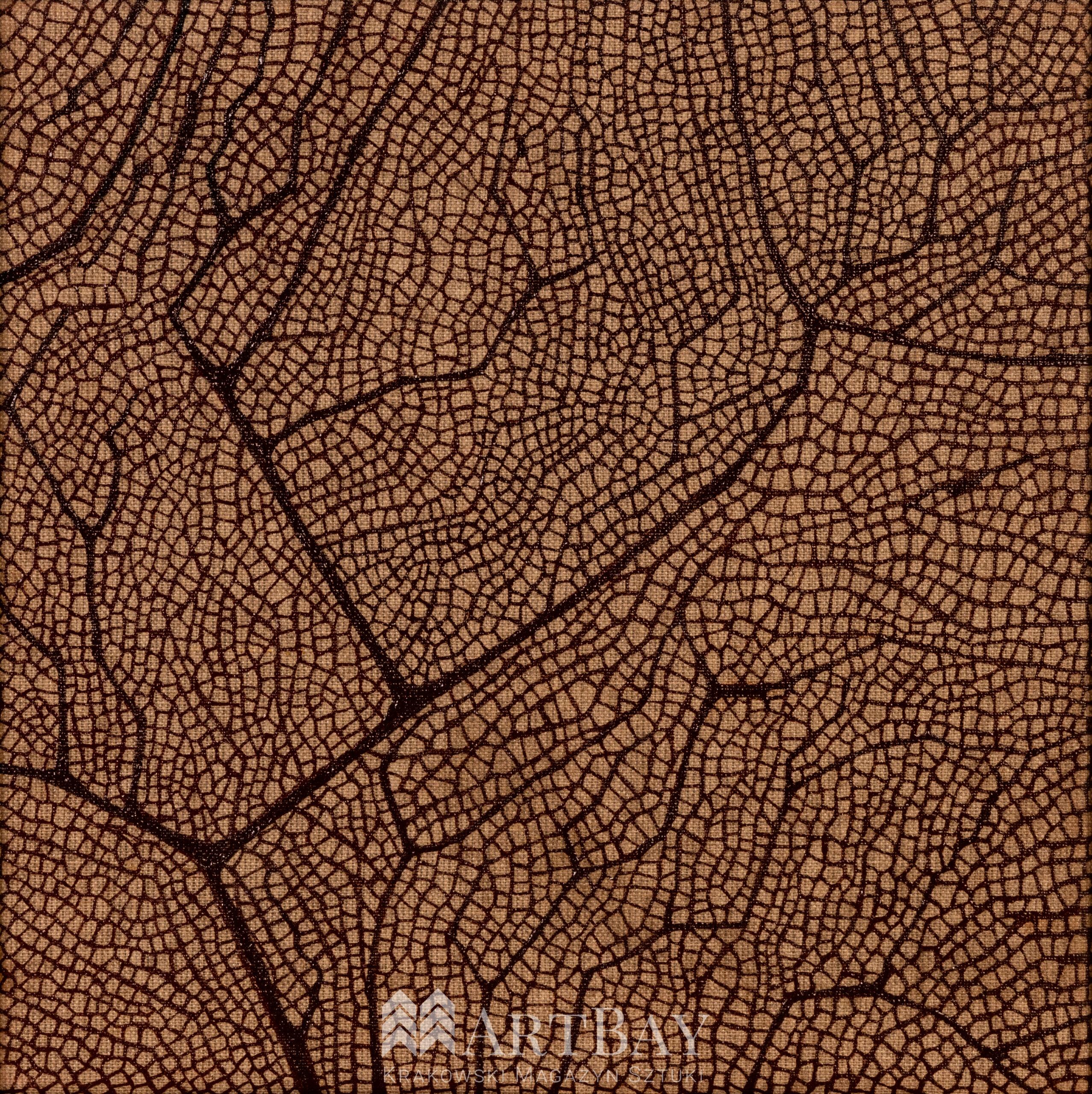 Fun coral elements - obrazek 2