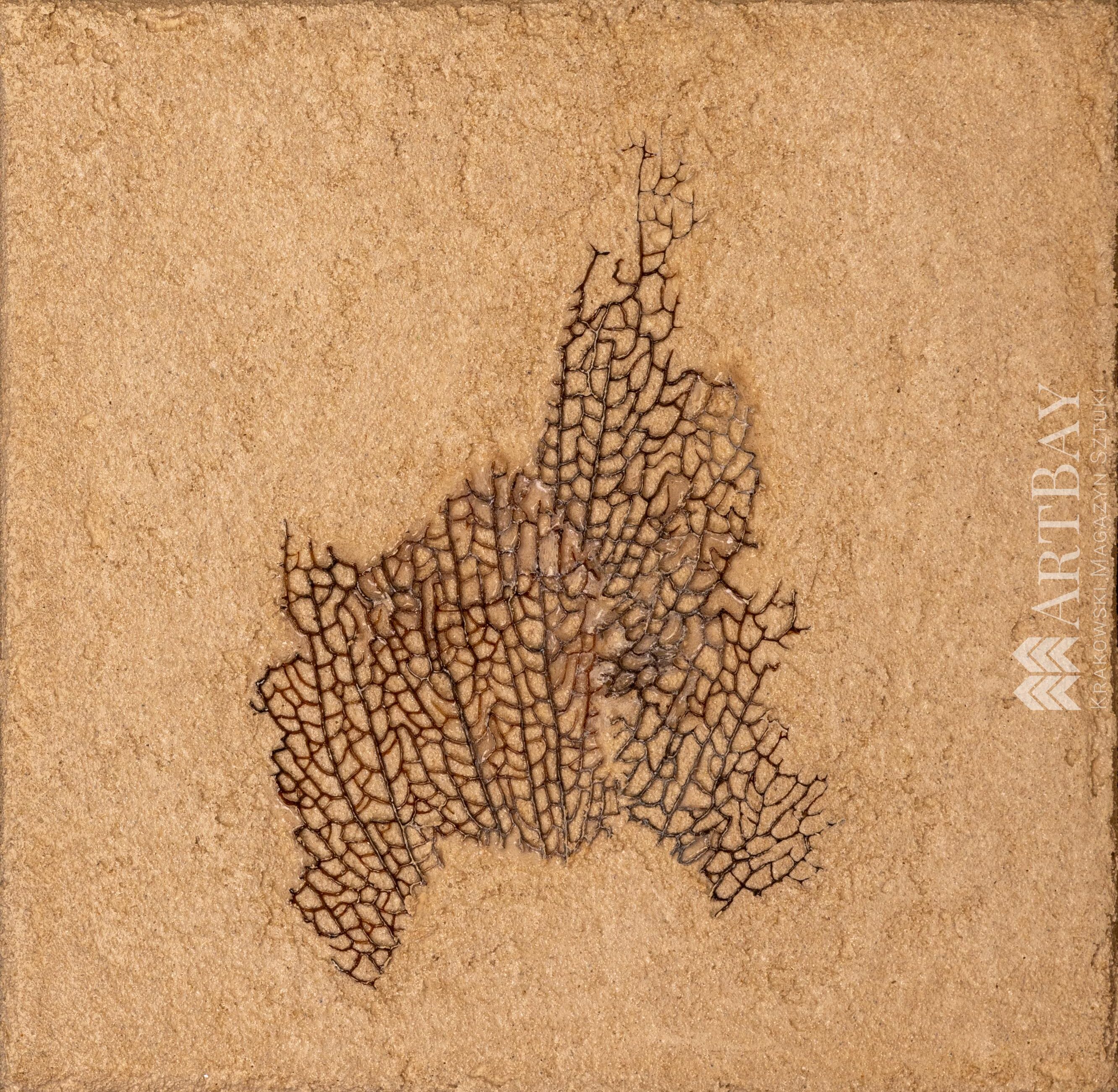 Fun coral - obrazek 2