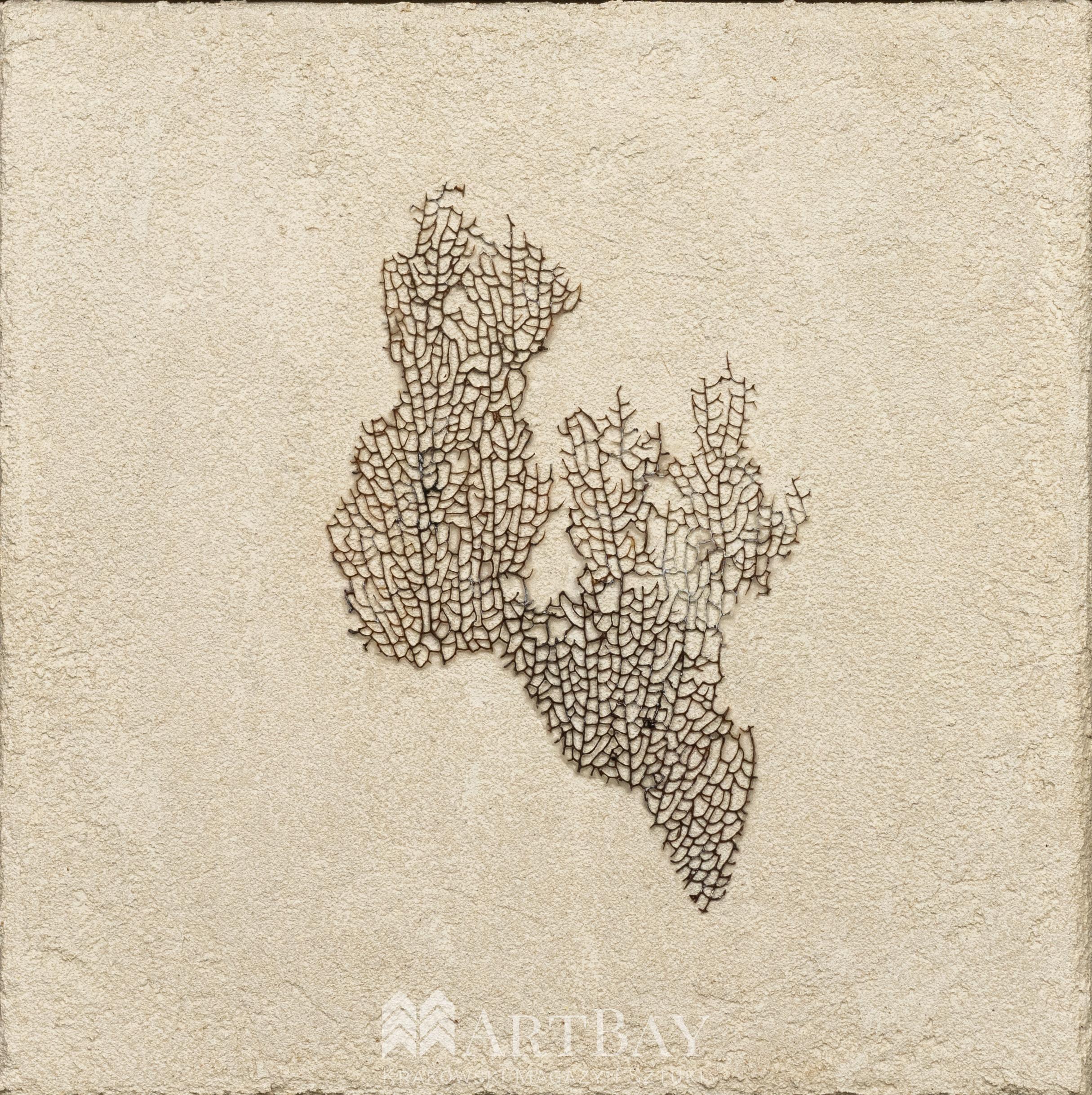 Fun coral - obrazek 2